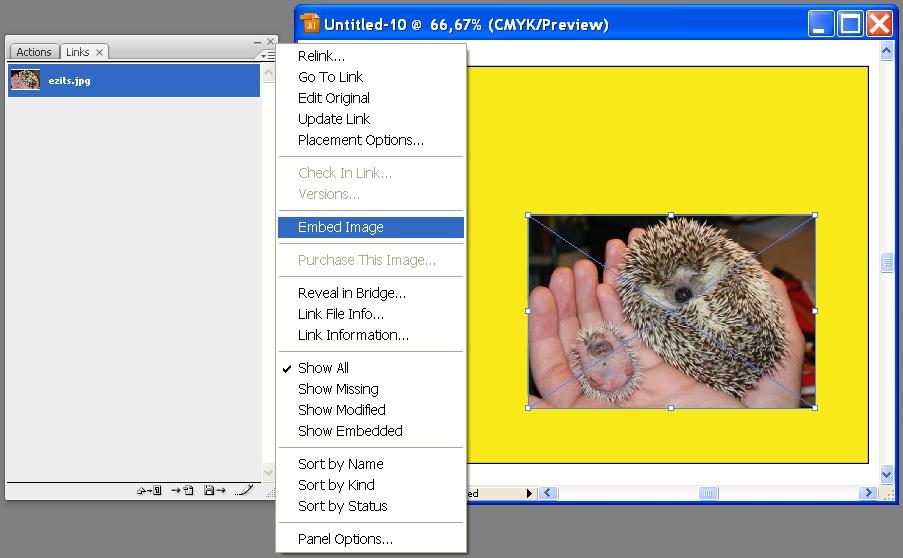 file Preparation of files for the wide format digital printing